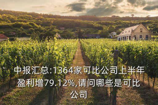 中報(bào)匯總:1364家可比公司上半年盈利增79.12%,請(qǐng)問哪些是可比公司