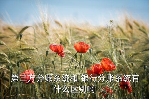  第三方分賬系統(tǒng)和 銀行分賬系統(tǒng)有什么區(qū)別啊