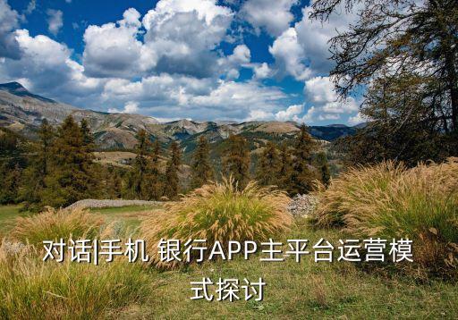 對話|手機 銀行APP主平臺運營模式探討