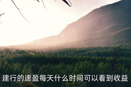 建行的速盈每天什么時(shí)間可以看到收益