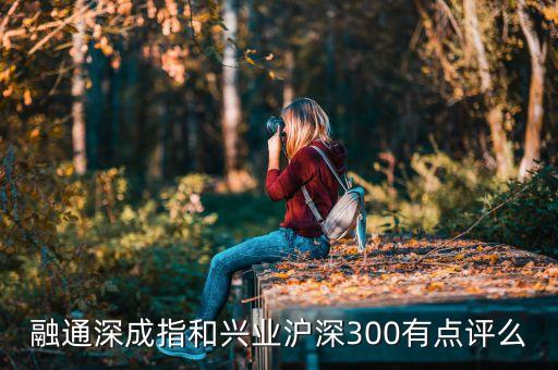 融通深成指和興業(yè)滬深300有點(diǎn)評(píng)么