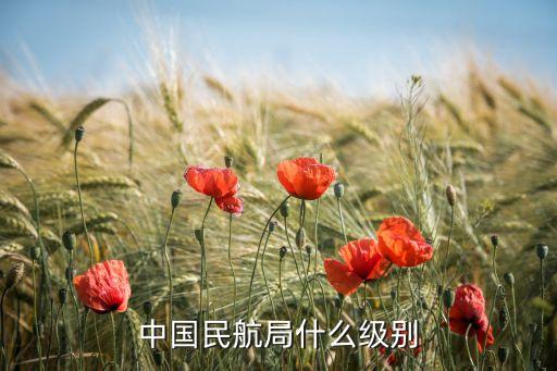 中國民航局什么級別