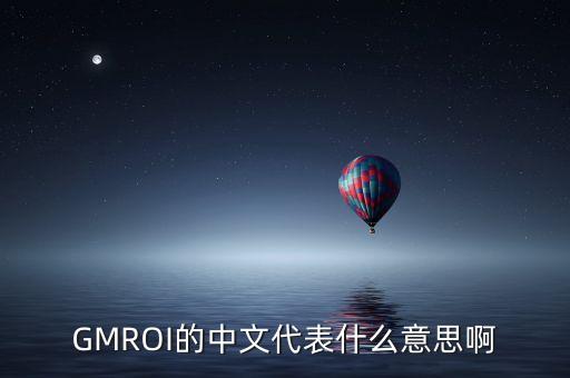 GMROI的中文代表什么意思啊