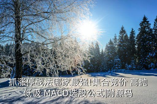 抓漲停戰(zhàn)法哪家最強(qiáng)!集合競(jìng)價(jià) 高拋低吸 MACD選股公式|附源碼