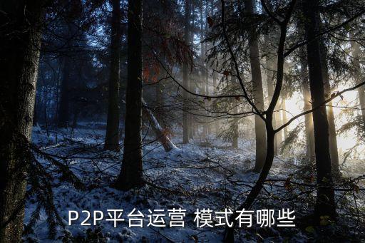 P2P平臺運營 模式有哪些