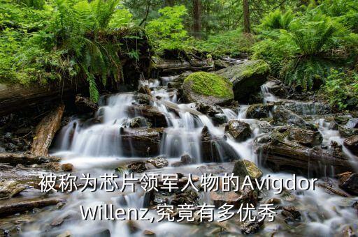 被稱為芯片領(lǐng)軍人物的AvigdorWillenz,究竟有多優(yōu)秀