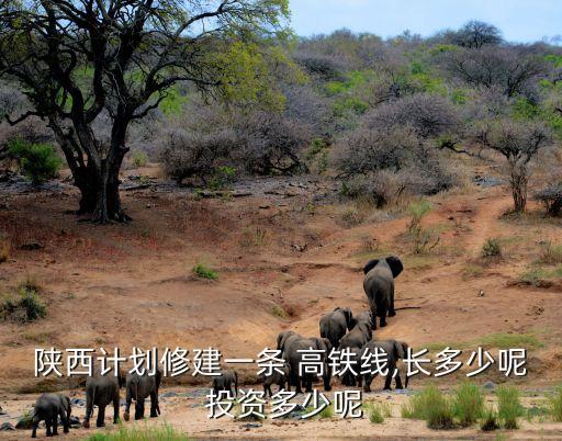 陜西計(jì)劃修建一條 高鐵線,長多少呢 投資多少呢