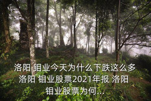  洛陽 鉬業(yè)今天為什么下跌這么多 洛陽 鉬業(yè)股票2021年報(bào) 洛陽 鉬業(yè)股票為何...