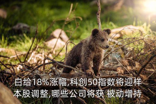 白給18%漲幅,科創(chuàng)50指數將迎樣本股調整,哪些公司將獲 被動增持