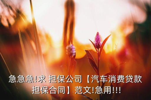 急急急!求 擔保公司【汽車消費貸款 擔保合同】范文!急用!!!