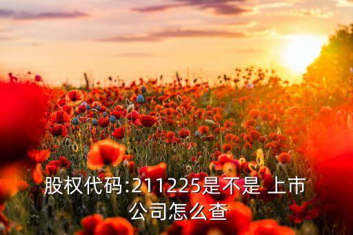 股權代碼:211225是不是 上市 公司怎么查