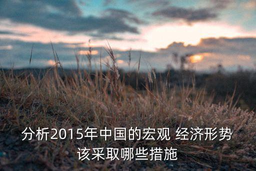 分析2015年中國的宏觀 經(jīng)濟形勢該采取哪些措施