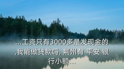 ...工資只有3000多是發(fā)現金的,我能做貸款嗎, 荊州有 平安 銀行小額...