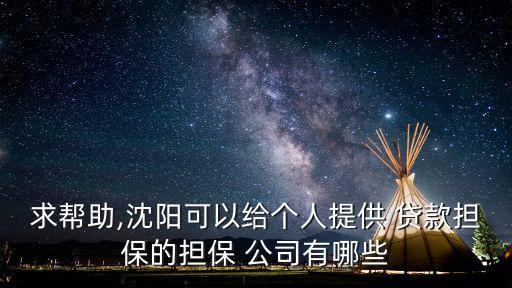 求幫助,沈陽可以給個人提供 貸款擔(dān)保的擔(dān)保 公司有哪些