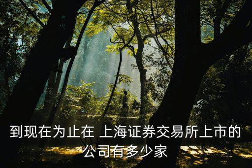 上海新通聯(lián),上海通聯(lián)支付客服電話