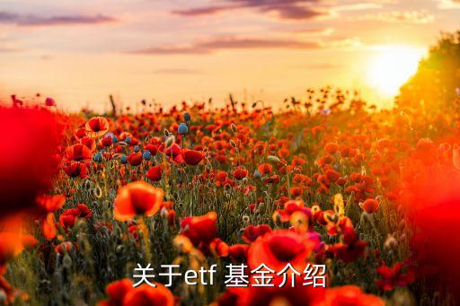 關(guān)于etf 基金介紹