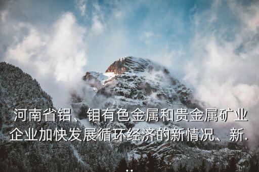  河南省鋁、鉬有色金屬和貴金屬礦業(yè)企業(yè)加快發(fā)展循環(huán)經(jīng)濟的新情況、新...