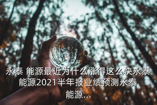 永泰 能源最近為什么漲得這么快永泰 能源2021半年報(bào)業(yè)績預(yù)測永泰 能源...