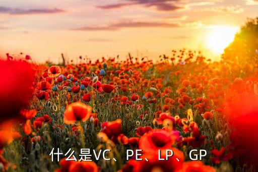 什么是VC、PE、LP、GP