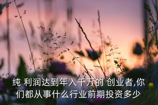 純 利潤(rùn)達(dá)到年入千萬(wàn)的 創(chuàng)業(yè)者,你們都從事什么行業(yè)前期投資多少