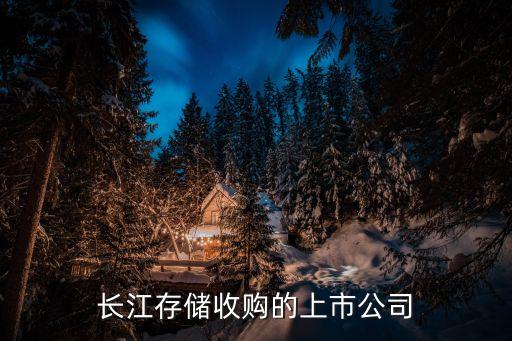 長(zhǎng)江存儲(chǔ)收購的上市公司