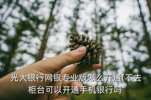  光大銀行網(wǎng)銀專業(yè)版怎么開通(不去柜臺(tái)可以開通手機(jī)銀行嗎