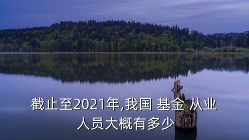 截止至2021年,我國(guó) 基金 從業(yè) 人員大概有多少