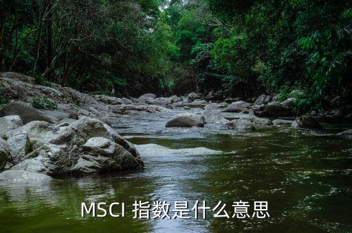 MSCI 指數(shù)是什么意思