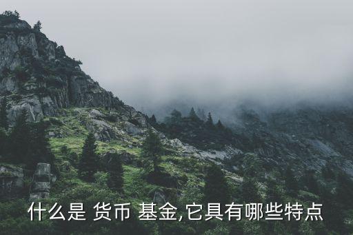 什么是 貨幣 基金,它具有哪些特點(diǎn)