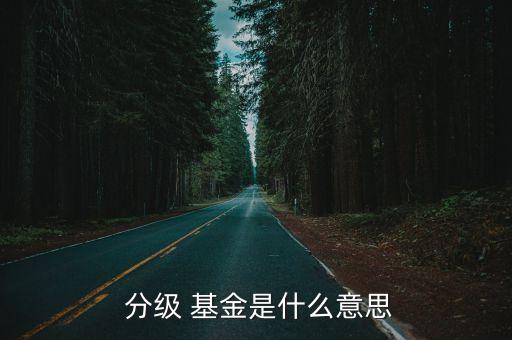  分級(jí) 基金是什么意思