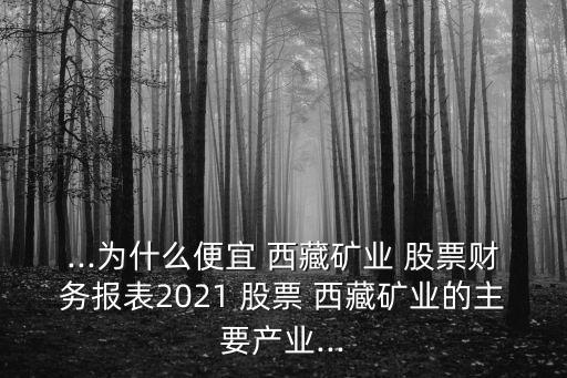 ...為什么便宜 西藏礦業(yè) 股票財務(wù)報表2021 股票 西藏礦業(yè)的主要產(chǎn)業(yè)...