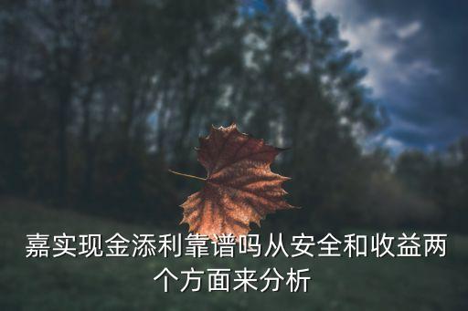  嘉實現(xiàn)金添利靠譜嗎從安全和收益兩個方面來分析