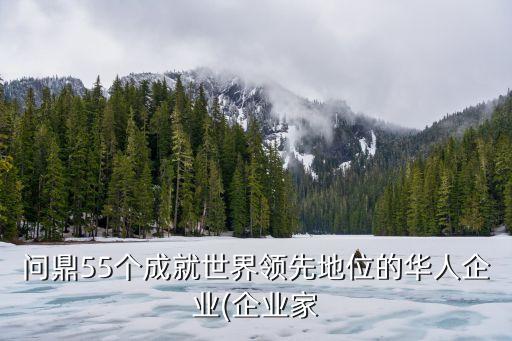 問鼎55個(gè)成就世界領(lǐng)先地位的華人企業(yè)(企業(yè)家