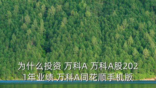 為什么投資 萬科A 萬科A股2021年業(yè)績 萬科A同花順手機版