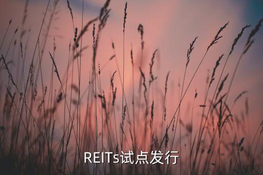 REITs試點發(fā)行