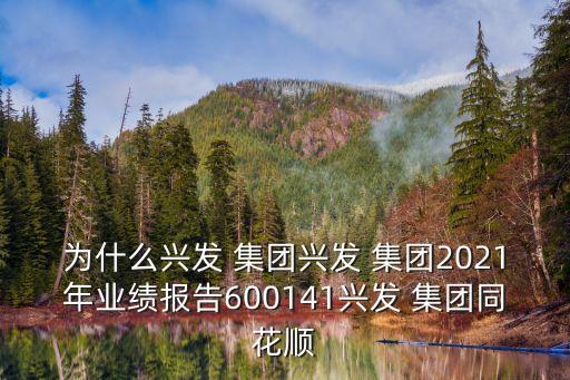 為什么興發(fā) 集團興發(fā) 集團2021年業(yè)績報告600141興發(fā) 集團同花順