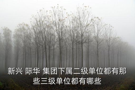 新興 際華 集團下屬二級單位都有那些三級單位都有哪些