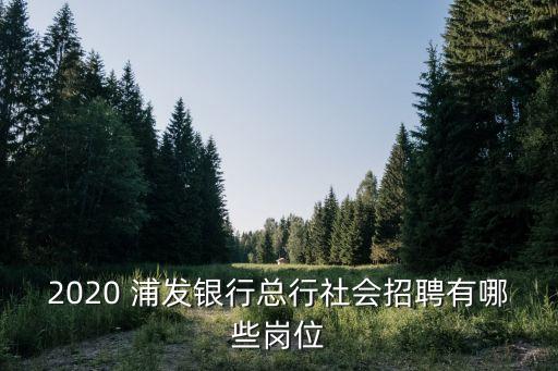 2020 浦發(fā)銀行總行社會(huì)招聘有哪些崗位