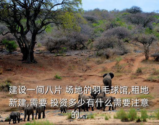 建設(shè)一間八片 場(chǎng)地的羽毛球館,租地新建,需要 投資多少有什么需要注意的...