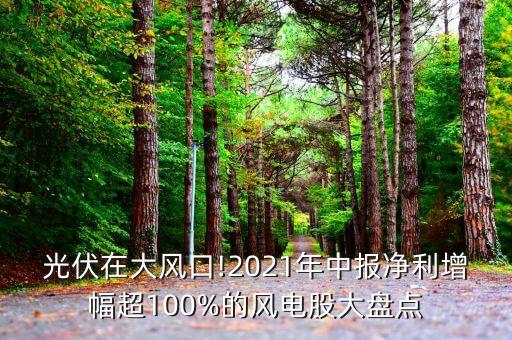 光伏在大風(fēng)口!2021年中報(bào)凈利增幅超100%的風(fēng)電股大盤(pán)點(diǎn)