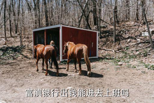 云南省有哪些城市商業(yè)銀行,江蘇農村商業(yè)銀行哪些城市有