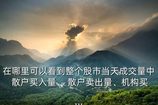 在哪里可以看到整個股市當天成交量中 散戶買入量、 散戶賣出量、機構(gòu)買...