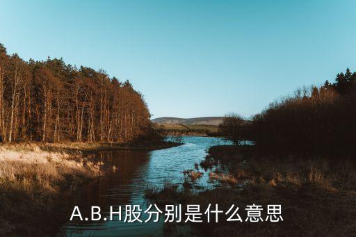 A.B.H股分別是什么意思