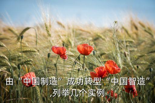 由“中國(guó)制造”成功轉(zhuǎn)型“中國(guó)智造”,列舉幾個(gè)實(shí)例