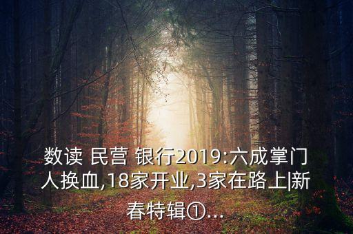 數(shù)讀 民營 銀行2019:六成掌門人換血,18家開業(yè),3家在路上|新春特輯①...