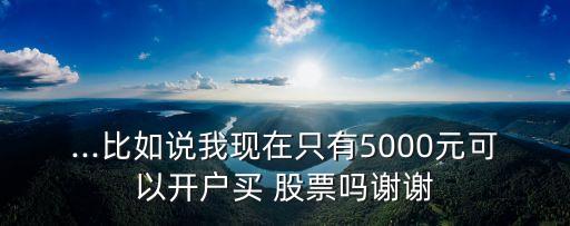 ...比如說(shuō)我現(xiàn)在只有5000元可以開(kāi)戶買(mǎi) 股票嗎謝謝