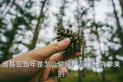 諾基亞公司財務(wù)狀況分析,財務(wù)狀況從哪幾個方面分析