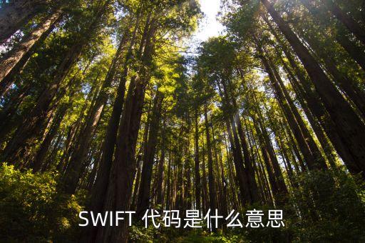 SWIFT 代碼是什么意思