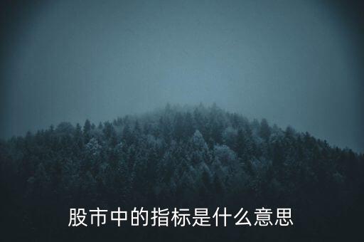 股市中的指標是什么意思