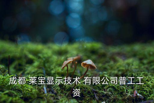 成都 萊寶顯示技術(shù) 有限公司普工工資